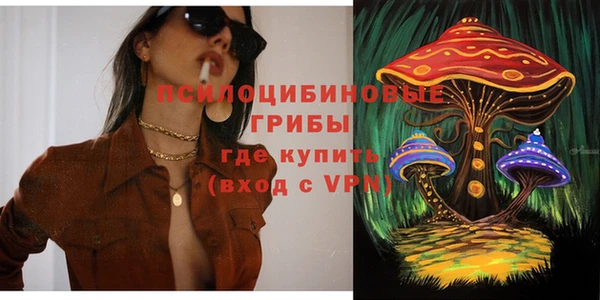 бошки Пестово