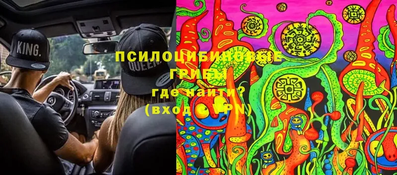 Псилоцибиновые грибы Cubensis  как найти закладки  Краснообск 