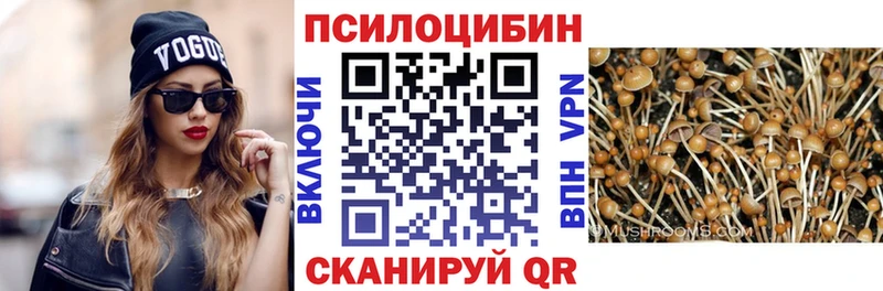 сколько стоит  Краснообск  Галлюциногенные грибы мицелий 